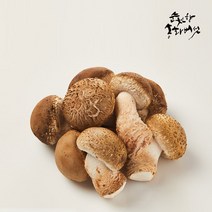 순천향 송화버섯 맛있는 국산 생 송화버섯 산지직송, 1box, 순천향 송화버섯 일반형: 1kg