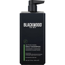 블랙우드포맨 액티브 맨 데일리 샴푸, 1개, 500ml