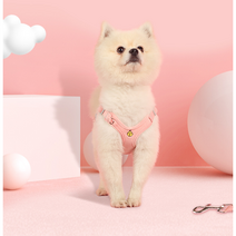 팝펫 강아지 하네스+리드줄 세트, 레드