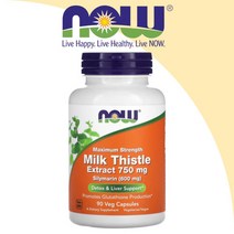 Now Foods 밀크씨슬 실리마린 750mg 밀크시슬