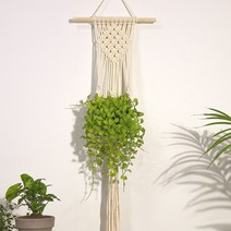 마크라메 공기정화식물 화분걸이 모델R, 마크라메 + 디시디아 스몰(small)