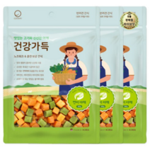 라이브잇 굿데이 강아지 건강가득 간식 300g, 연어 + 야채, 24개, 연어 + 야채