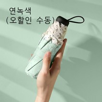 레이스 파라솔