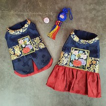 레드펫 반려동물 명절 건강이 한복, 남자