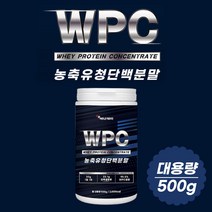 농축유청단백질 가루 비씨에이에이 남성 운동 근육 웨이 프로틴 골프 음료 드링크 가성비 보충제 필수 아미노산 홈쇼핑 보조제 섭취량 30대 40대 50대 60대 간편 에너지 드링크