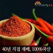 23년산 의성햇고추가루 100%국내산 1근/김장용 청결위생 50년 전통 의성고추마늘동네, 청양 고추가루 1근(600g), 1개