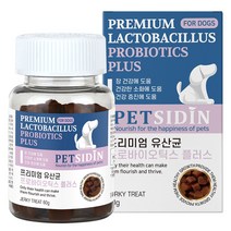 펫시딘 유산균 프로바이오틱스 강아지 장 건강 영양제, 1개