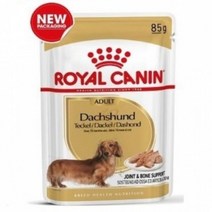 강아지 전용 습식 사료 연골 근육 건강 85g 12개 영양 사료 소형견 조련 중형견 훈련 개 애견