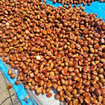 햇밤 조생밤 알밤 생밤 청양 왕밤 23년 추석선물세트 4kg, 햇밤 2kg(특 39mm 140알내외)