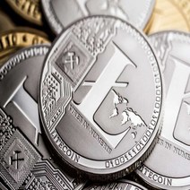 라이트코인 기념 주화 장식 데코 가상암호 화폐 Litecoin, Gold