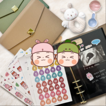 초음파 앨범 토끼띠 용띠 태명 스티커 태교 태아 다이어리, (토끼띠)카키앨범+스티커9종