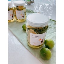 파파본과일수제청 제주청한라봉청500g 과일청청한라봉청 답례품250g 500g, 레몬생강청