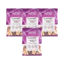 홀랜드앤바랫 트로피칼 과일 메들리 400g Holland & Barrett Tropical Fruit Medley, 4팩