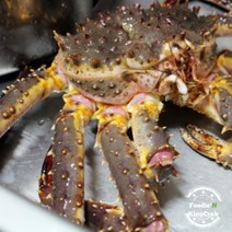 푸디앤 수율좋은 살아있는 브라운 킹크랩 1.5kg 일주일 한정특가