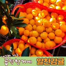 알찬감귤 5kg 알찬제주감귤 노지귤10kg 내고향제주감귤, 알찬감귤 10kg, 1개