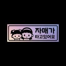 아기가타고있어요 탈부착자석스티커 LMCM-39 자매, 반사-실버