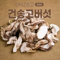 [나영이농원]국내산 무농약 건송고버섯 송고가루100g 송화버섯 송화고버섯 산지직송, 송고버섯가루100g
