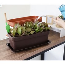아파트 베란다 상추기르기 텃밭화분 정원꾸미기 잘자람, 화이트