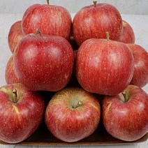 청송 부사 꿀 사과 설 구정 명절 사과 선물세트 산지직송 가정용 선물용, 부사사과 일반선물용 10kg 32-36과