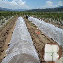 마늘부직포 마늘멀칭비닐20 메쉬 너비 1m 2m 3m 정원 해충 방제 그물 식물 야채 과일 보호 커버 조류 방지, 01 20 Mesh_03 Width 1m