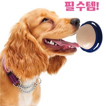 오래먹는간식 강아지벽사탕 애견캔디 M 벽사탕 도그츕스 영양사탕 소형견간식, 1개