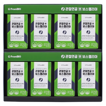 식약처 인증 프롬바이오 이병헌 관절 연골 엔 보스웰리아 2개월 4개월 6개월 분 무릎 남 여 성 뼈 건강 영양제 보스웰니아 보수웰리아 보수웰니아 보스엘리아 약통 알약케이스, 4개월(8박스)