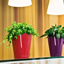 독일 레츄자 미니 델티니 플라스틱 화분, 레드