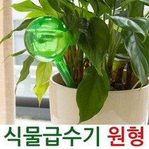 식물 급수기 원형 화분 화단 물주기 볼 원예 영양제, 급수기원형-그린-소