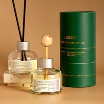 랩솔 차량용 방향제 디퓨저 자동차 차량 방향제 100ml, 에이프릴프레쉬+에이프릴프레쉬