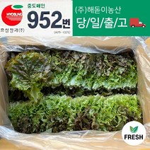 <해돋이농산> 꽃상추 특품 2kg 상세페이지 읽어보세요., 꽃상추1박스(2kg)” class=”wr-img”></a></div></div></div></div><div class=
