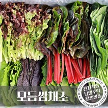 [당일수확] 친환경 유기농 모듬 쌈채소 1kg 샐러드 야채 당일수확 샤브샤브 구이용 샐러드 모듬채소 대용량, 6. 유기농모듬샐러드채소 1kg