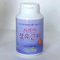 청운당농산 지리산 참 유근피환 국산 왕 느릅나무환 뿌리껍질, 150g, 1병