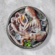 홍천철원 태안 자연산 활낙지(중) 1kg (5~8마리), 없음