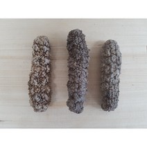 특품 필리핀 루비 건해삼 대자 (XL) 사이즈 1kg -12-20미 1마리 9 cm ~15 cm 1kg 26 만원