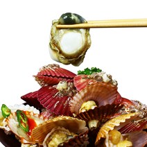 슬기로운 구매생활!~ (보관용으로 얼리기 최적기) 통영생굴 횟감용 1kg. 2kg. 3kg, 1박스, 홍가리비2kg