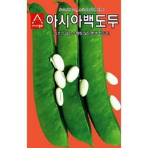 작두콩씨앗 - 백도두 작두콩(50g) S2556, 본상품선택