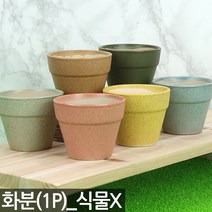칼라 토기분(1P) - 화분 다육 다육이 미니 인테리어 도자기 선인장 식물 토분 토기화분 실내 사무실 홈카페 홈가드닝 어린이집 유치원 식목일 행사 책상 아이방, 06_Sein_칼라토기분A_그레이