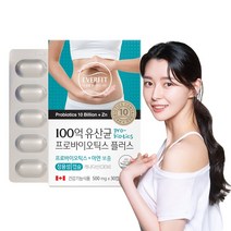 에버핏 100억유산균 프로바이오틱스 플러스 30캡슐 아연보충 17종혼합유산균 장용성캡슐, 30정, 1개