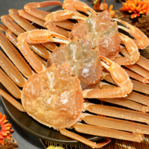 [당일발송] 최상급 활 영덕대게 생물 포항 구룡포 박달대게 산지 직송 크기선택, 6. 영덕대게 대 10~11cm 5미