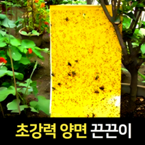 걸어쓰는 파리찐득이 파리끈끈이 초파리끈끈이 10매