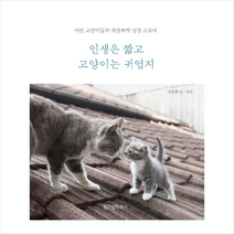 위즈덤하우스 인생은 짧고 고양이는 귀엽지   미니수첩 증정