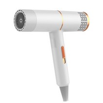 팻트라이룸 애견 드라이기 전문가용 블루레이 음이온 헤어 드라이어 220V 가정용 강력한 지속적인 전기, 01 white_01 미국