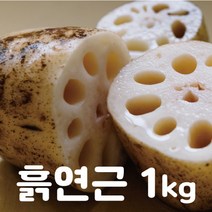 국내산 연근 신선한 생연근 당일재배 연뿌리 햇연근 아삭아삭 흙연근 1kg, 1박스