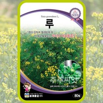 루 허브씨앗 80립 루타 운향과식물 rue 헨루다과 운실 ruta graveolens, 단품