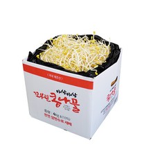 [생산자 직송] 천연 암반수로 키운 튼실한 꼬부린 콩나물, 4kg