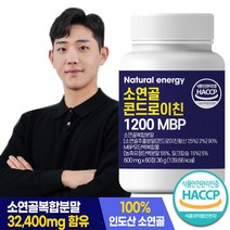웰핏 콘드로이친 1200 MBP, 60정, 1개