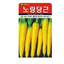 SN월드 뿌리채소 씨앗 무 당근 양파 알타리무 비트 콜라비 과일무, 노랑당근