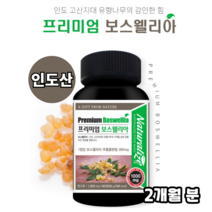100% 인도산 인도 보스웰리아 보스웰릭산 식물성원료 진짜보스웰리아 유향나무 세라타나무 추출 분말 가루 트리플보스웰리아 보스윌리아 코스트코보스웰리아 보스웰리아