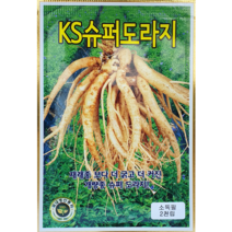슈퍼도라지 씨앗 맛있는 텃밭 노지 하우스 씨앗 종자