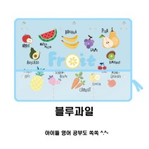 조군컴파니 차량용 햇빛가리개 커튼 크라이슬러 300 200C 그랜드보이저, 1개, 블루과일